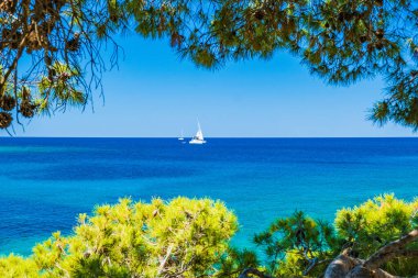 Hırvatistan 'daki Adriyatik denizi, Dugi otok adası, Veli Rat körfezinde denizde yelken açan tekne, çam ağaçlarından manzaralı