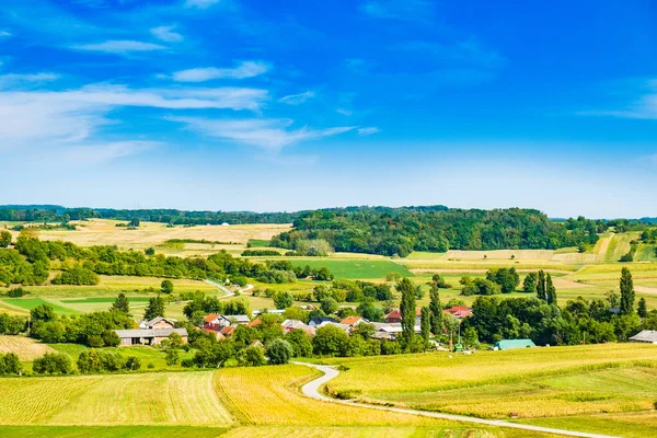 Hırvatistan 'ın Prigorje bölgesindeki Kalnik üzüm bağı bölgesinde güzel yeşil kırsal alan 
