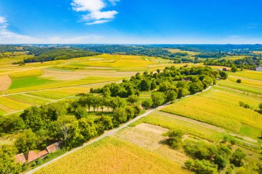 Hırvatistan 'ın Prigorje bölgesindeki Kalnik üzüm bağı bölgesinde güzel yeşil kırsal alan 