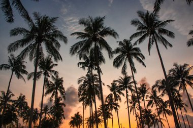 tropikal plaj Tayland gün batımı