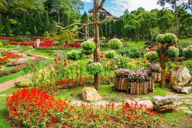 Ağaçlar ve çiçekler ile Tayland bahçe