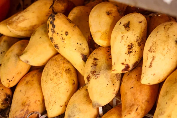 Muchos Mangos Amarillos Maduros —  Fotos de Stock