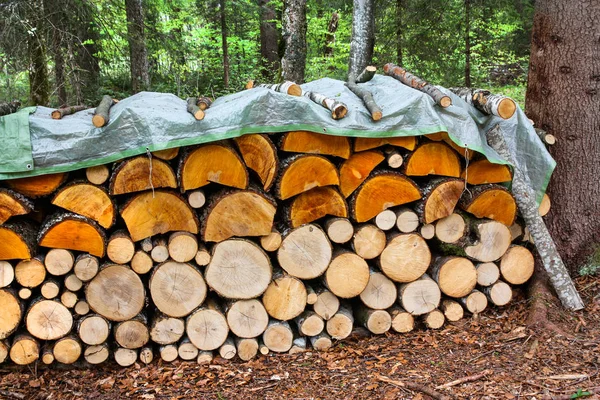 Madera Troncos Pino Recién Cosechados Bosque Troncos Árboles Cortados Apilados — Foto de Stock