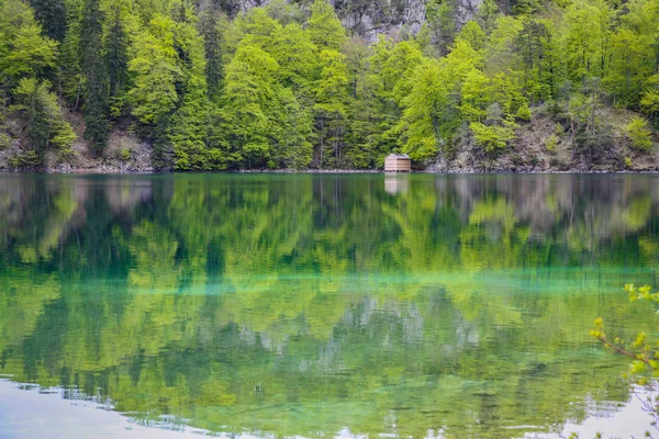 Lago Montaña Con Agua Turquesa Fondo Del Bosque Verde Países — Foto de Stock