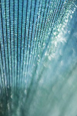 Mavi turkuaz bokeh arka plan siyana