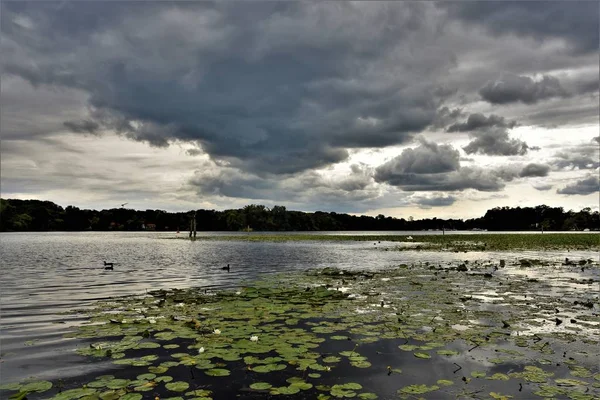 clouds gray above the lake with lilies on the water