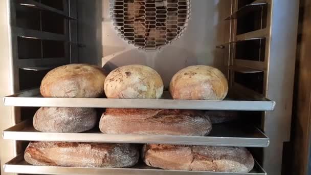 パン屋のファンがオーブンで焼いたパン — ストック動画