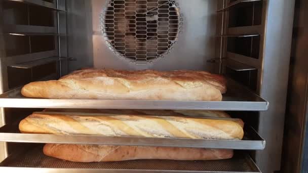 Pan Horno Panadería — Vídeos de Stock