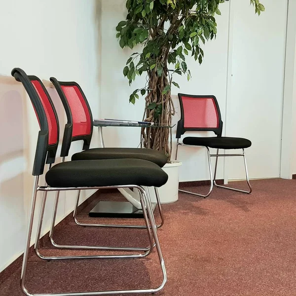 Interieur Stoelen Salontafel Boom Tegen Een Witte Muur — Stockfoto