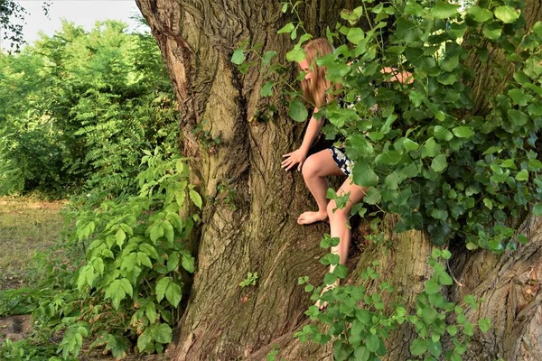 Дівчина Сукні Спускається Дерева — стокове фото