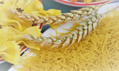 buğday makarna ve olgun buğday kulakları