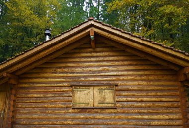 Kapalı panjurlu ahşap ev ormanda duruyor.