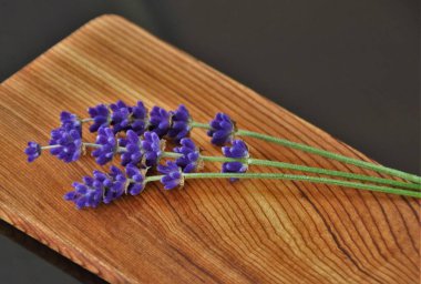 Tahta bir tahtanın üzerinde lavanta dalları üzerinde lavanta dalları