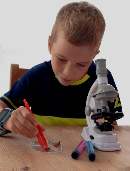 Niño Sentado Mirando Través Microscopio — Foto de Stock