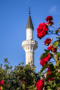 Mavi gökyüzü ve gül çalılar arka planda eski cami