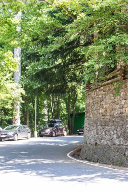 Dağlarda, ormanda boyalı yol. Kırım, Yalta