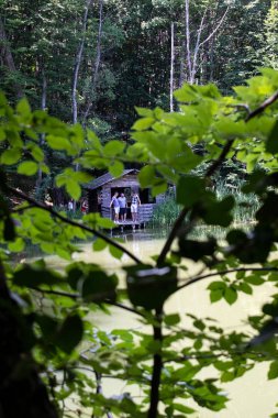 Ormanlar ve dağlar güzel manzara, Kırım, Yalta