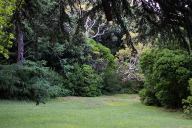 Park Doğa Müzesi Koruma Alanı. Kırım