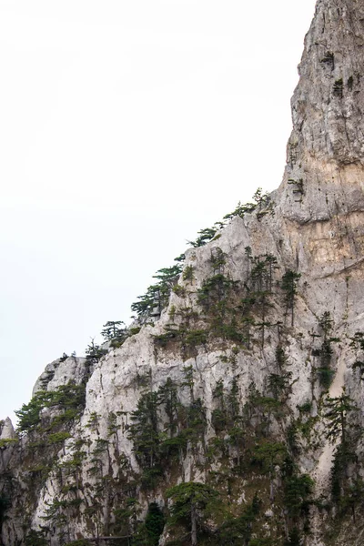 Vista del Monte Ai-Petri, paisaje. Día de verano claro y soleado, nubes, Crimea, — Foto de Stock