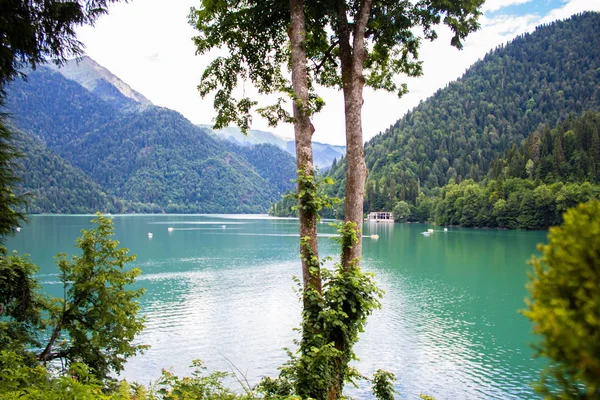 Schönen Bergsee ritsa. ritsa-See in den Bergen des Kaukasus, im Nordwesten von Abchasien, Georgien, umgeben von Bergmischwäldern und subalpinen Wiesen. — Stockfoto