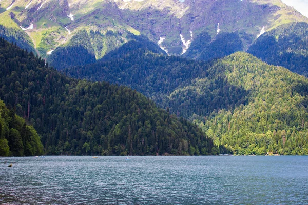 Beau lac de montagne Ritsa. Lac Ritsa dans les montagnes du Caucase, dans la partie nord-ouest de l'Abkhazie, en Géorgie, entouré de forêts mixtes de montagne et de prairies subalpines . — Photo