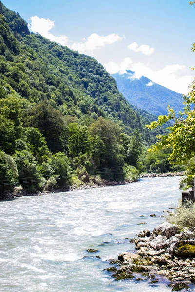 Une rivière de montagne coule à travers une forêt verdoyante le long des montagnes. Abkhazie — Photo