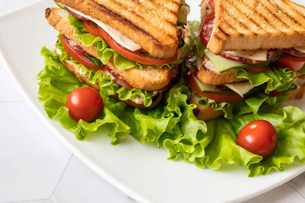 Sandwich with cheese, tomato, cucumber, sausage and salad on a light background. . Horizontal orientation — Stock Photo, Image