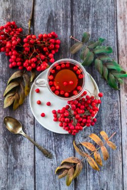 Sıcak çorba, dağ kül çayı. Kandaki zararlı kolesterol seviyesini düşürür, kan damarlarını güçlendirir. İyileştirme içeceği