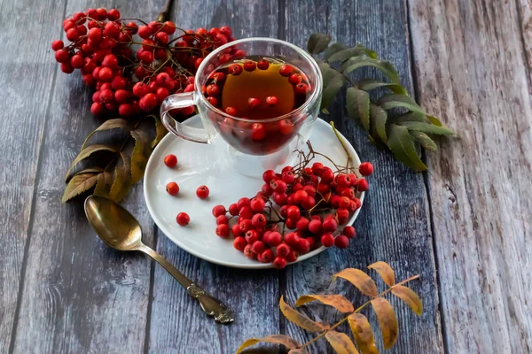 Hete genezende thee, bergas thee. Vermindert het gehalte aan schadelijk cholesterol in het bloed, versterkt de bloedvaten. helende drank — Stockfoto