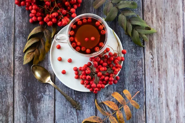 Genezende bouillon, bergas thee. Vermindert het gehalte aan schadelijk cholesterol in het bloed, versterkt de bloedvaten. helende drank — Stockfoto