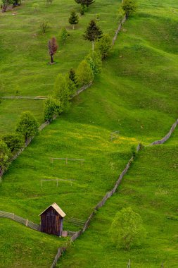 Bucovina, Romanya'da ham yeşil ağaçlar ve bir ahırın diyagonal bileşimi
