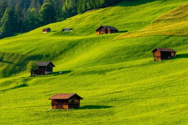 Ham yeşil çayır ve güzel günbatımı ligthing tarafından yıkanmış birkaç ahır.