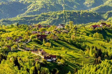 Kıvrımlı yol ve sıcak gün batımı ışığıyla yıkanan birkaç ev, Transilvanya, Romanya