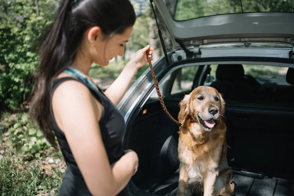 Feliz perro en coche abierto maletero con chica — Foto de Stock