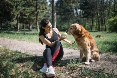 Güzel bir kadın köpekle yerde oturuyor ve topu tutuyor.
