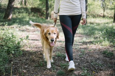 Kırpılmış kız köpekle orman yolunda yürüyor.