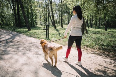 Parkta yürüyen kadın ve köpek manzarası