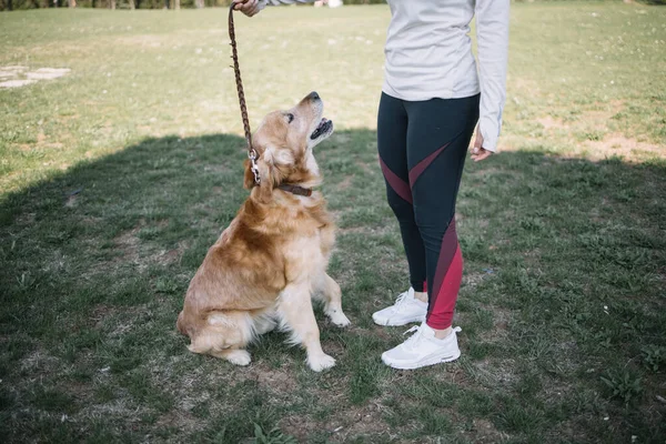 Beschnittene Frau steht mit Hund auf Feld — Stockfoto