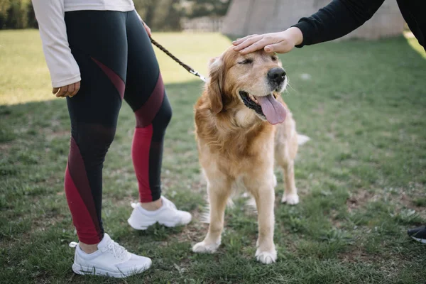 Açık havada iki kızın dikkatini çeken bir köpek.