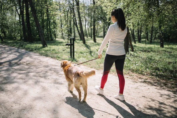 Vista trasera de la mujer y el perro paseando en el parque —  Fotos de Stock
