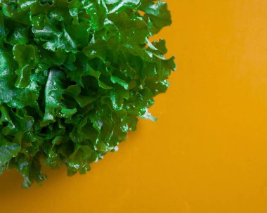 Sarı yüzeyde yeşil marulun yakın çekim görüntüsü