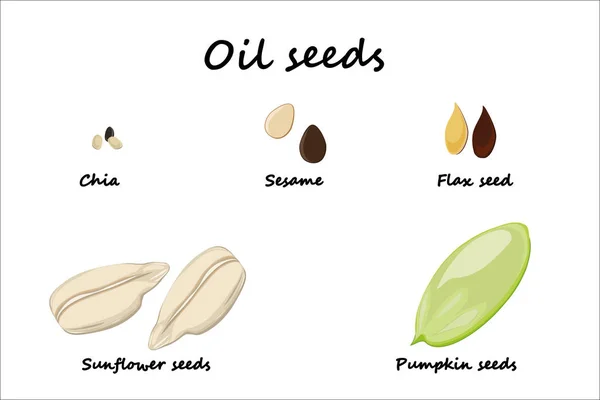yağkökü, chia, susam, altın keten ve karanlık keten, kabak çekirdeği ve ayçiçeği tohumu, resimli ve beyaz arka plan üzerinde izole