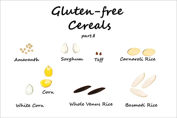 tahıllar, gluten-free, amaranth, sorgum, teff, sarı Mısır, beyaz Mısır, carnaroli pirinç, Venüs pirinç, siyah pirinç, basmati pirinç, fasulye resimli ve üzerinde beyaz adam izole