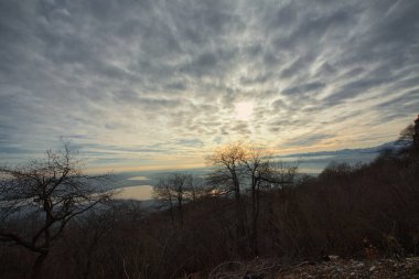 düzdramatik arka ışık