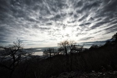 düzdramatik arka ışık