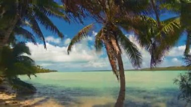Aitutaki Lagoon Panoramik Zaman Atlamalı Tropik Plaj Resifi Ve Hindistan Cevizi Palmiye Ağaçları Rüzgarlı Bulutlu Gökyüzü Üzerinde Sallanan Blue Lagoon & White Sand & Ocean In The Cook Adaları Polinezyası Güney Pasifik