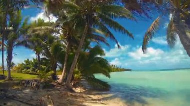 Aitutaki Lagoon Time Lapse Of Tropical Beach Reef & Coconut Palm Trees Swaying In Windy Cloudy Sky Over Blue Lagoon & White Sand & Ocean In The Cook Adaları Polinezyası Güney Pasifik