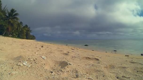 Rarotonga Cook Islands Scenic Time Lapse Seascape Girl Walking Tropical — Stock Video