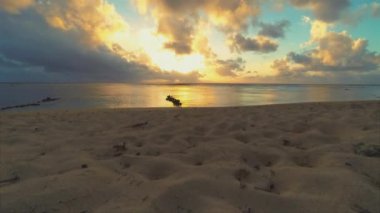 Zaman Lapse Rarotonga Cook Adaları Tropik Plaj Sunset Ve Akşam Seascape At Dusk Dramatik Bir Gökyüzü Cloudscape Altın Kum Plaj Deniz Dalgaları ve Kıyı Güney Pasifik Polinezyası Üzerinde Üfleme ile