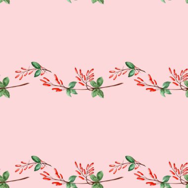 Böğürtlen dallarının pembe, pürüzsüz deseni